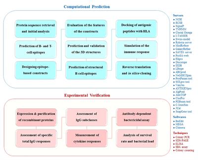 A new candidate epitope-based vaccine against PspA PhtD of Streptococcus pneumoniae: a computational experimental approach